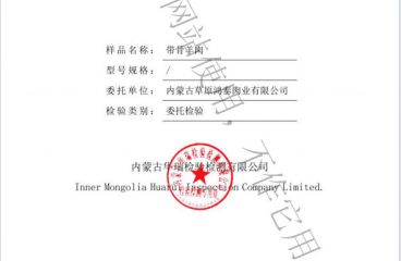 磨练报告