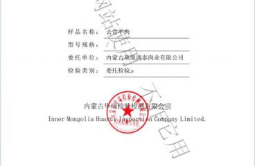 磨练报告