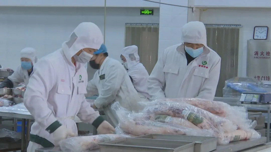 【复工复产我在岗】内蒙古草原鸿泰肉业有限公司复工复产 - 内蒙古草原鸿泰肉业有限公司_内蒙古羊肉_内蒙古羊肉厂家_内蒙古肉食物_内蒙古羊肉批发