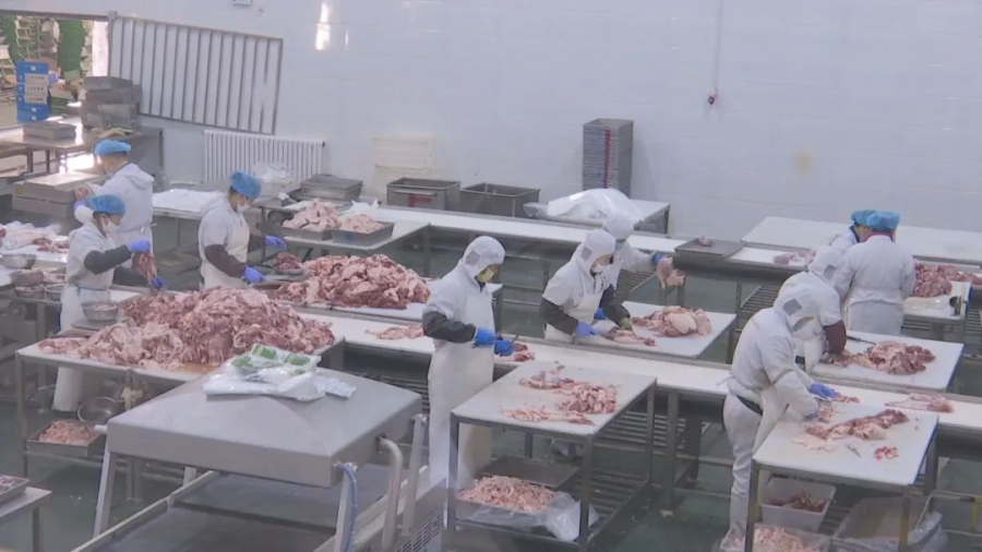 【复工复产我在岗】内蒙古草原鸿泰肉业有限公司复工复产 - 内蒙古草原鸿泰肉业有限公司_内蒙古羊肉_内蒙古羊肉厂家_内蒙古肉食物_内蒙古羊肉批发