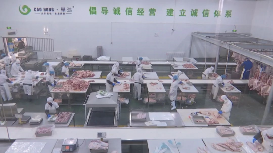 【复工复产我在岗】内蒙古草原鸿泰肉业有限公司复工复产 - 内蒙古草原鸿泰肉业有限公司_内蒙古羊肉_内蒙古羊肉厂家_内蒙古肉食物_内蒙古羊肉批发